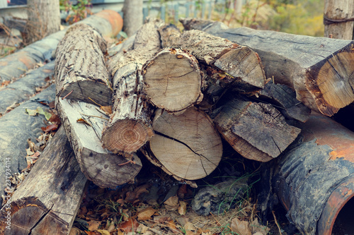 Cut logs