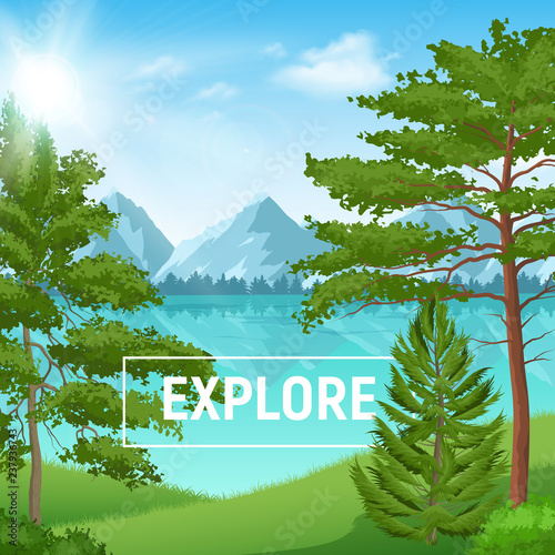 Realistic Pine Forest Sunny Landscape