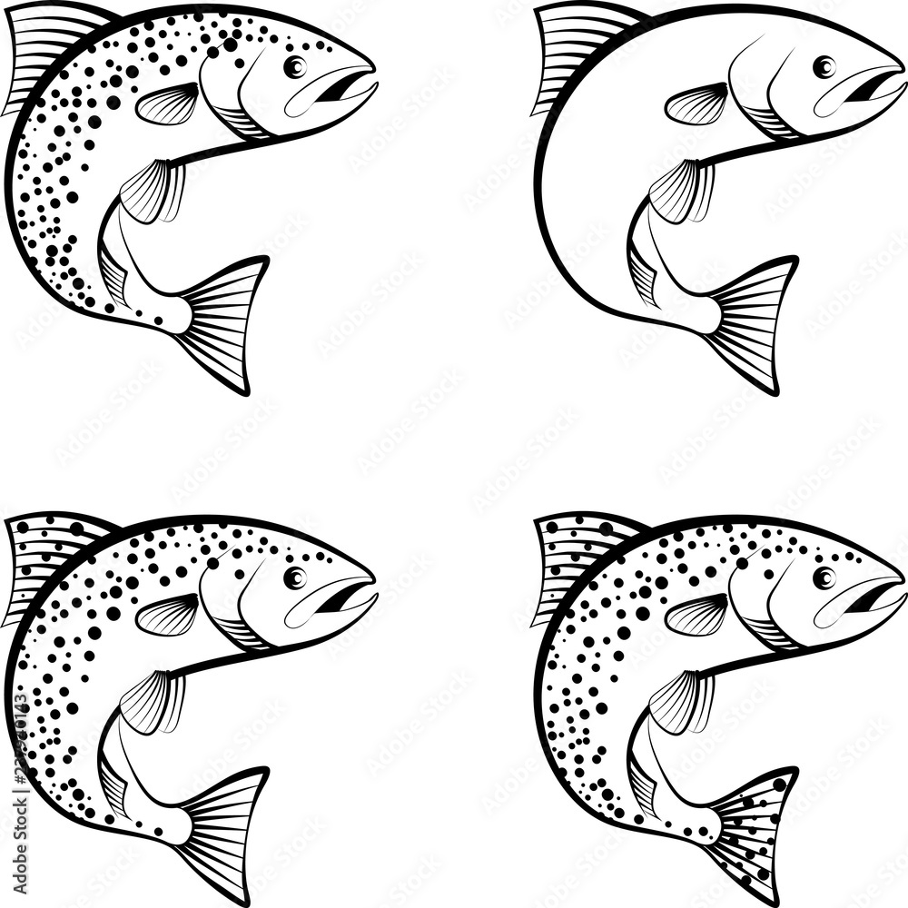 Obraz premium salmon and trout - clip art illustration 