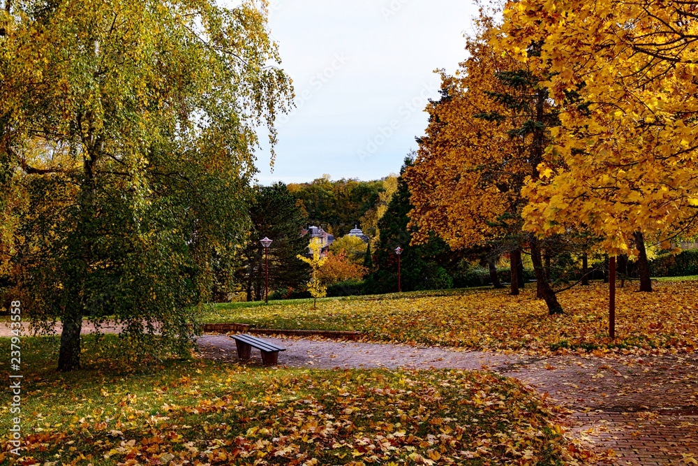 Vue en Automne du parc de Chatelguyon Vue en Automne du parc de Chatelguyon