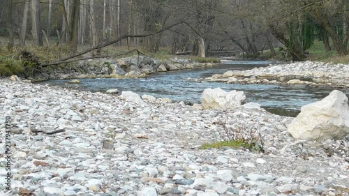 river flow in forest and rock photo