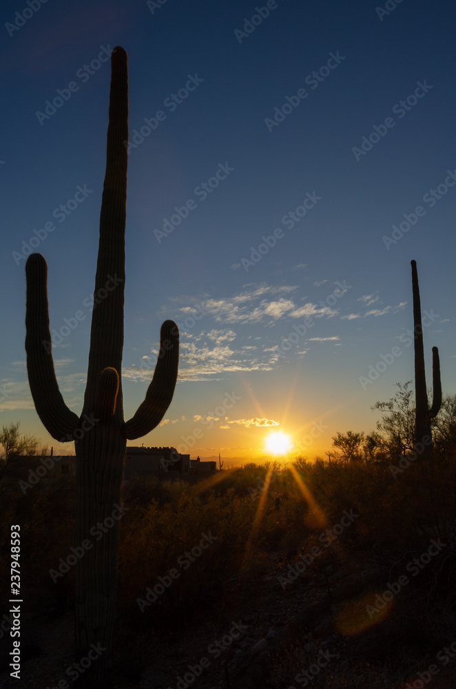 Saguaro Silhouette Cactus Against Sunset Sky Stock Photo | Adobe Stock