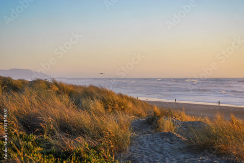 Ocean Beach Scene