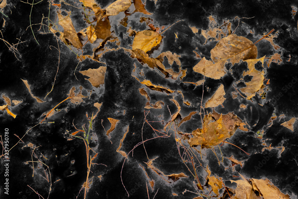 Black abstract background with yellow leaves on it
