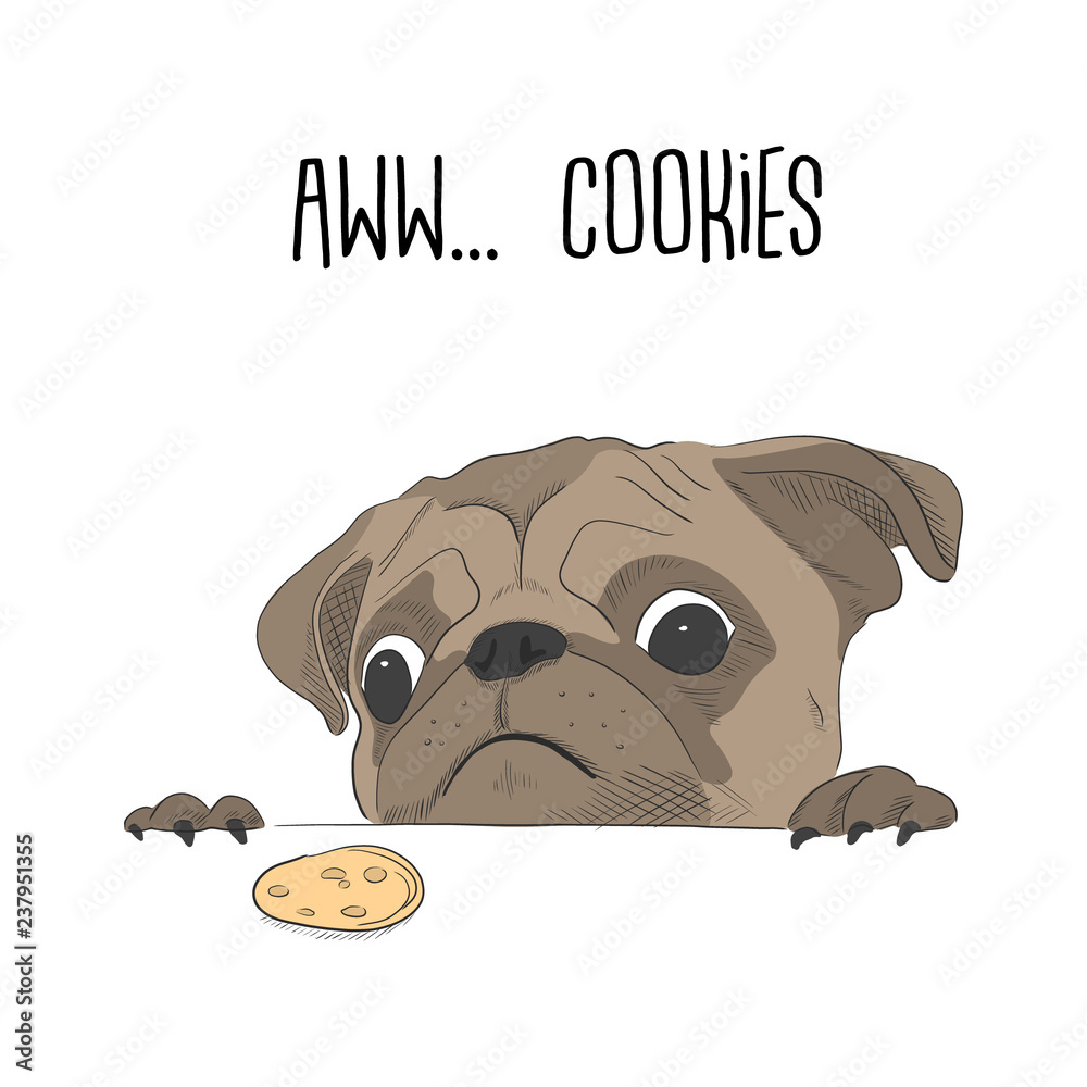 Cute pug wanted a cookie. Funny dog illustration. Animal print with text good for t-shirt print, poster, social media post.