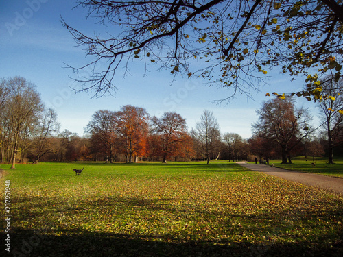 Autunno al Giardino Inglese, Monaco di Baviera