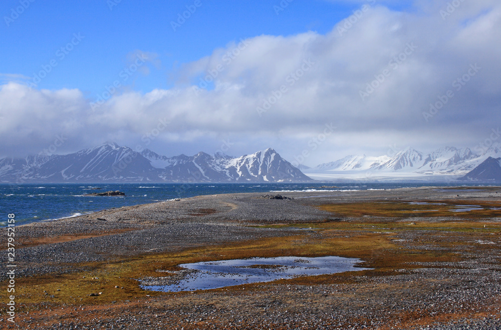 Tundra lake in Hornsund (fjord), Hansbreen glacier in background, Svalbard Tundra lake in Hornsund (fjord), Hansbreen glacier in background, Svalbard