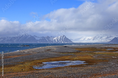 Obraz na płótnie Tundra lake in Hornsund (fjord), Hansbreen glacier in background, Svalbard w salonie