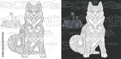 Coloring page with Siberian Husky (Alaskan malamute) dog