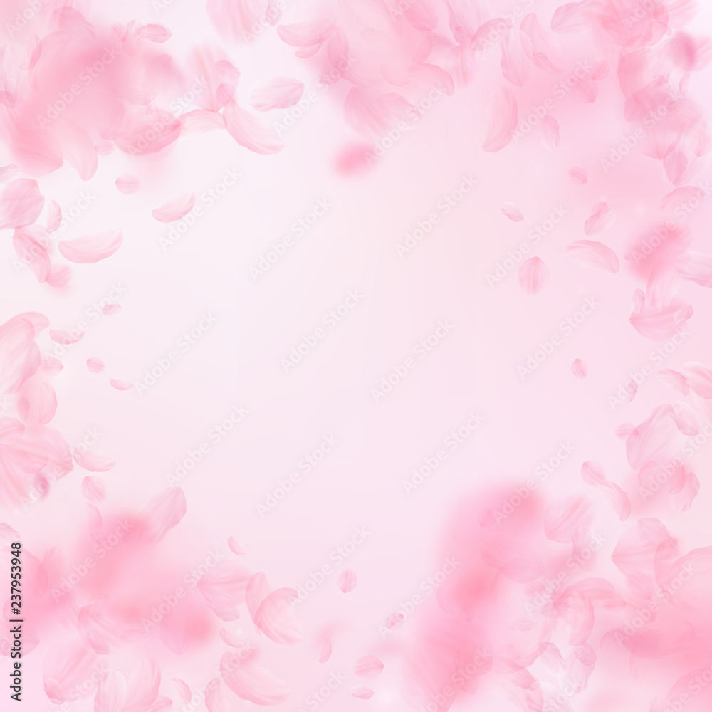 Sakura petals falling down. Romantic pink flowers Sakura petals falling down. Romantic pink flowers