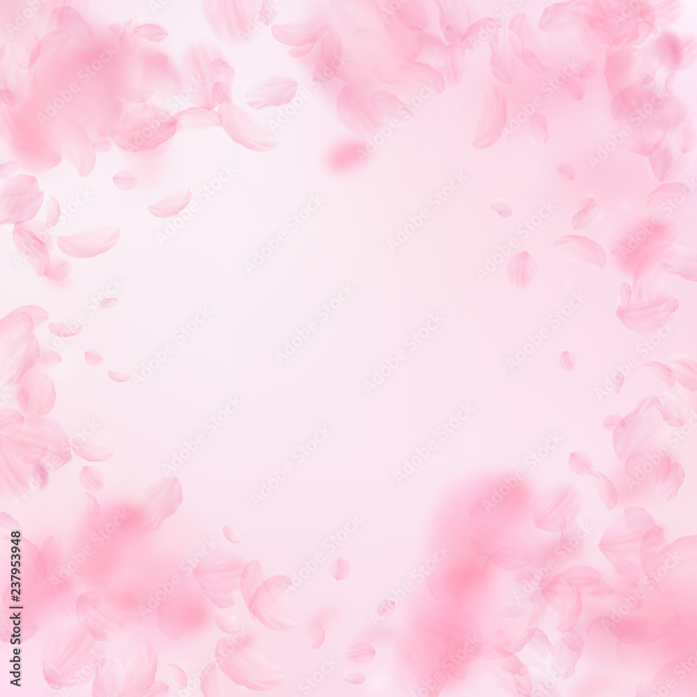 Sakura petals falling down. Romantic pink flowers 