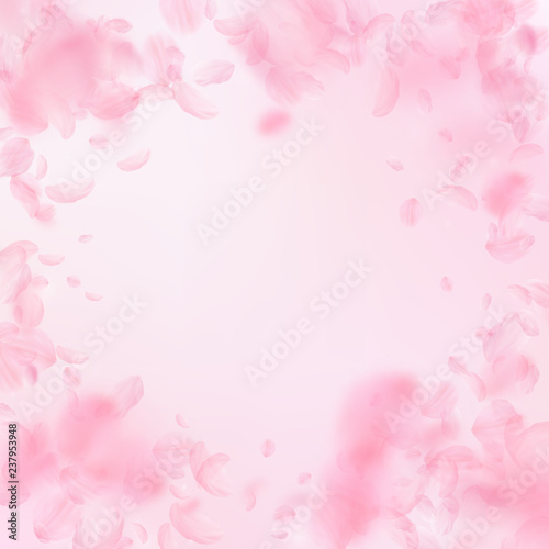 Sakura petals falling down. Romantic pink flowers 