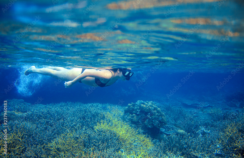 Young girl in bikini snorkel in coral reef. Woman swimming underwater. Snorkeling in tropical sea