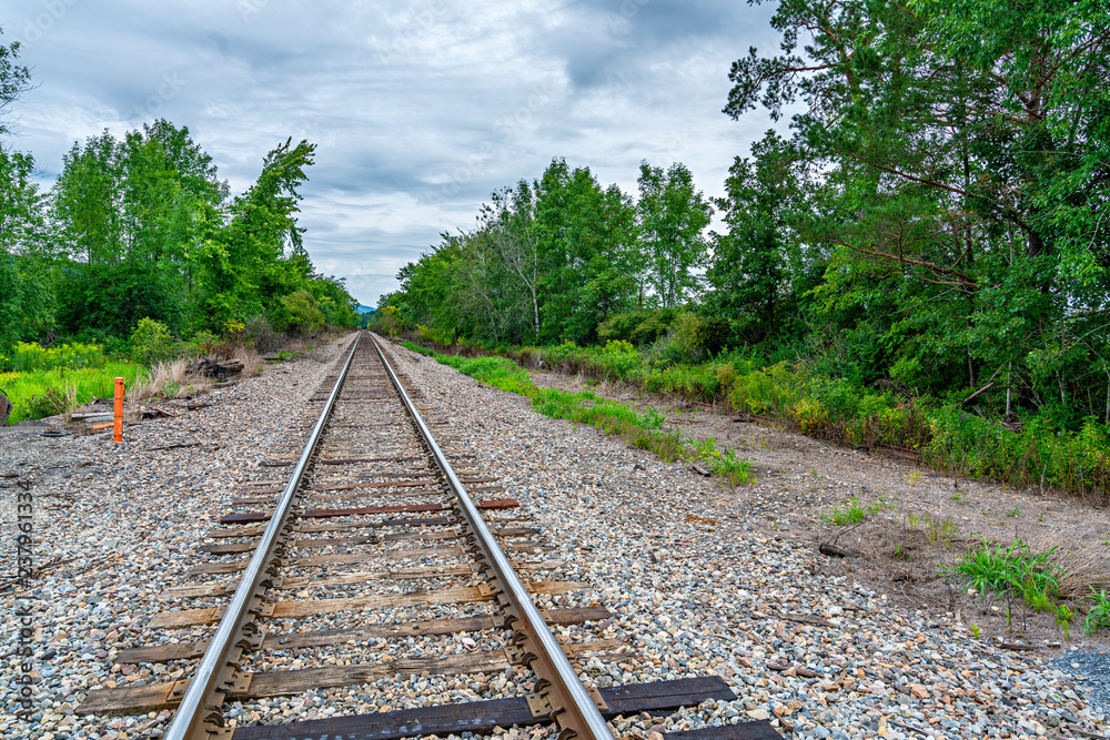 Fototapeta premium Vanishing Railroad Tracks