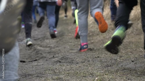 Healthy young people running on  trail in morning. Group young mens and womans jogging on country path, focus on legs. 