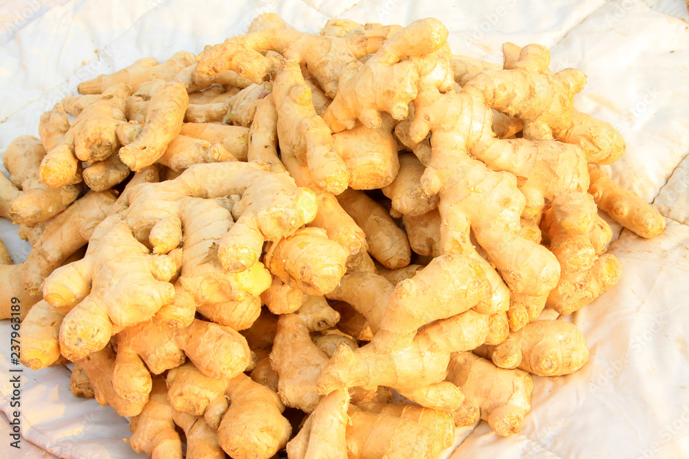 fresh ginger fresh ginger