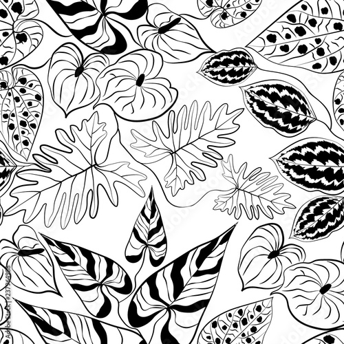 Seamless botanical floral sketched leaves flowers pattern white