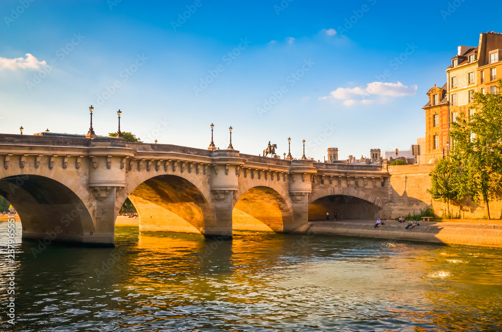 Bridge Pont Neuf and buildings near the Seine river in Paris, France