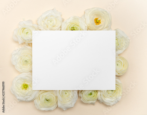 Pale Yellow background with white ranunculus and blank note template flat lay 