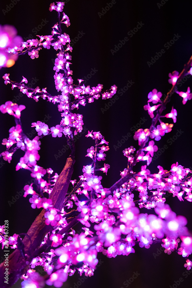 Tree branches iluminated by Christmas lights