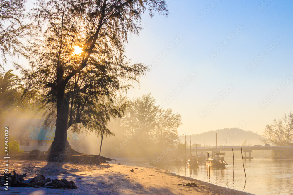 Naklejka premium Misty morning on a river estuary
