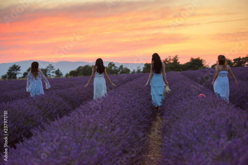 group of famales have fun in lavender flower field © .shock