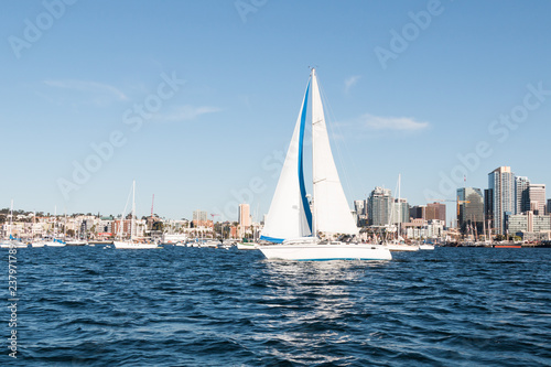 A sailboat in San Diego bay with the downtown skyline in the background.