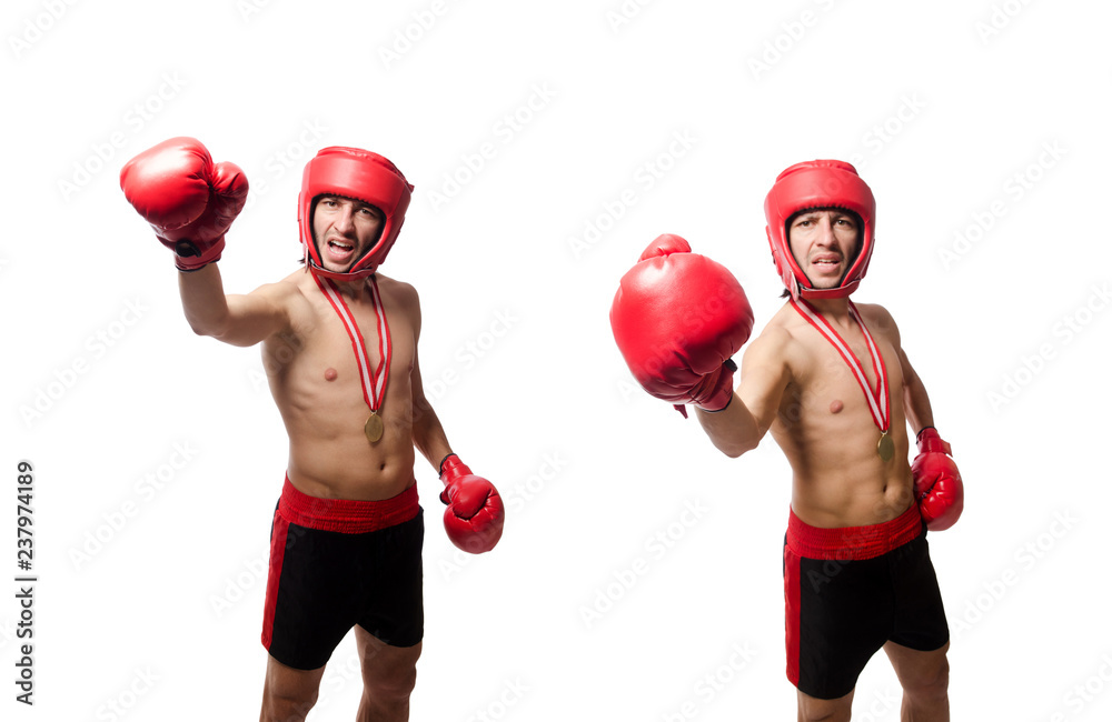 Funny boxer isolated on the white Funny boxer isolated on the white
