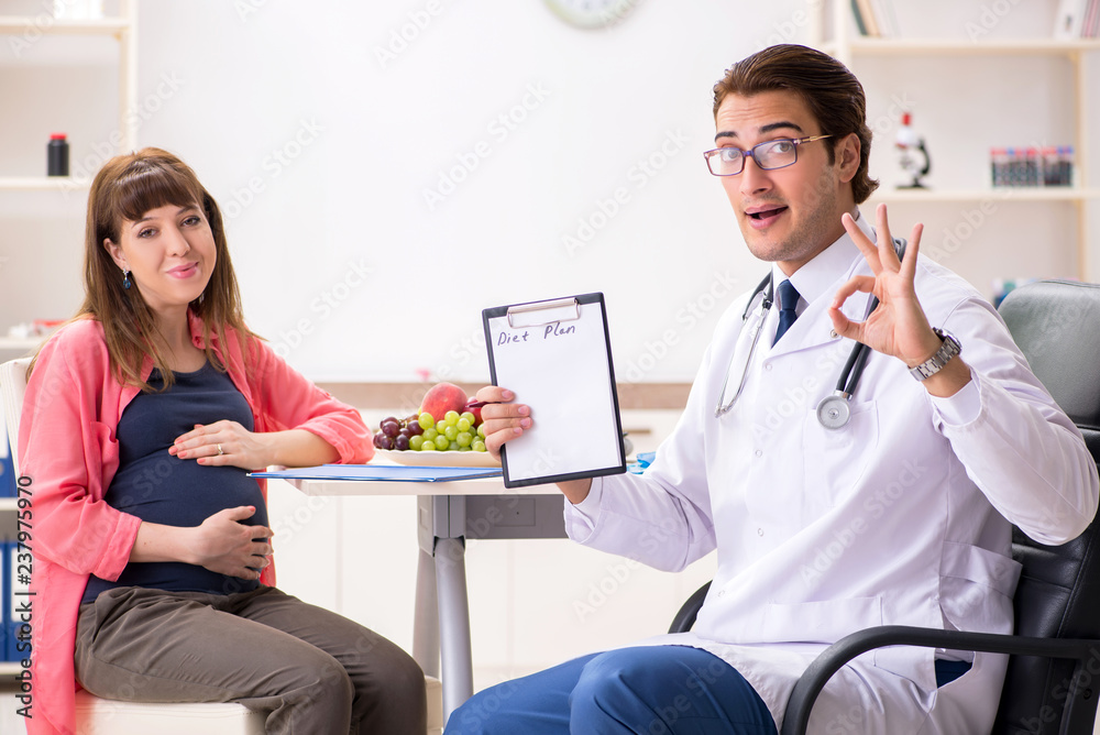 Fototapeta premium Pregnant woman visiting doctor discussing healthy diet