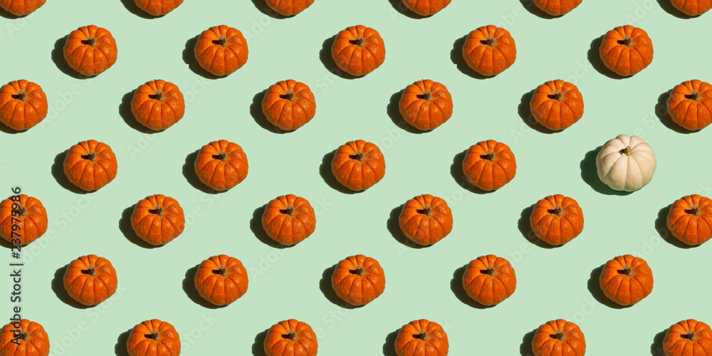Orange and White Pumpkin Pattern Orange and White Pumpkin Pattern