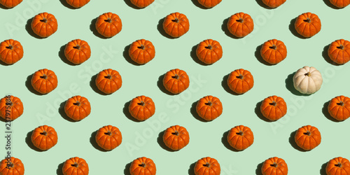 Orange and White Pumpkin Pattern