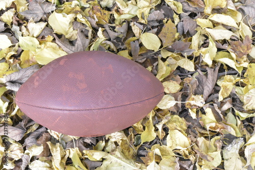 football in falling autumn leaves