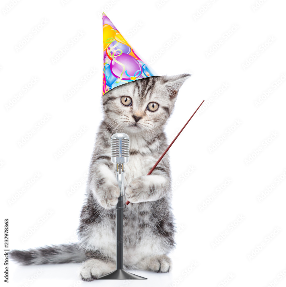 Kitten in birthday hat singing with microphone a karaoke song and pointing  stick. isolated on white background Stock Photo | Adobe Stock