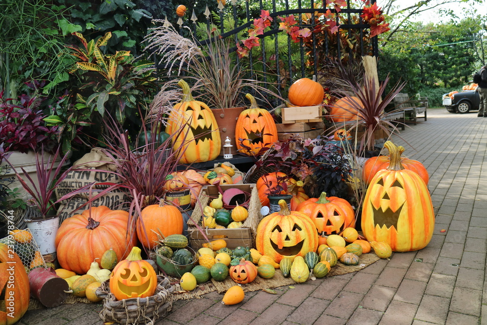 Obraz premium ハロウィーン