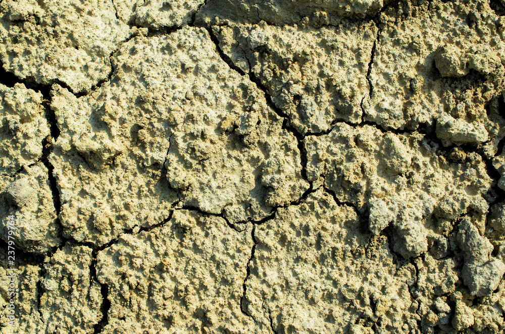 Close up of rough ground surface in nature backgrounds Close up of rough ground surface in nature backgrounds