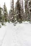 Snow covered mountain trail for snow shoeing