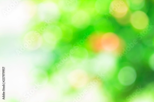 Green nature with shiny Bokhe lights abstract backgrounds