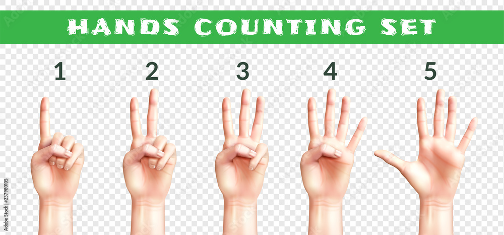 Transparent Set Of Counting Hands Transparent Set Of Counting Hands