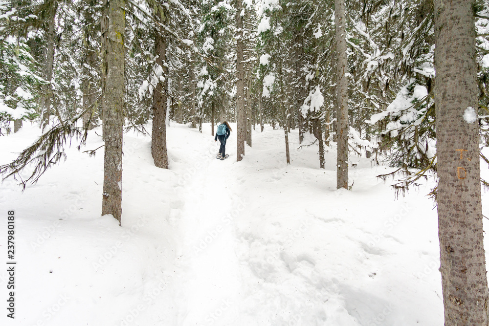 Naklejka premium Hiker snow shoeing on trail