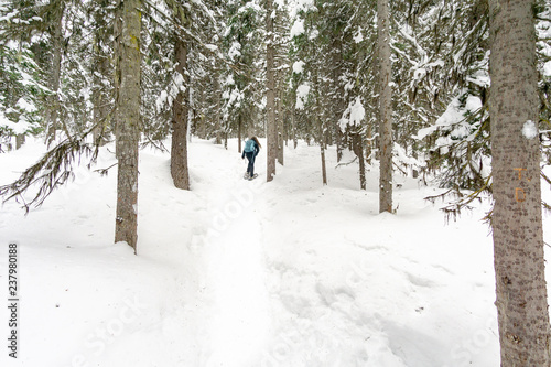 Hiker snow shoeing on trail