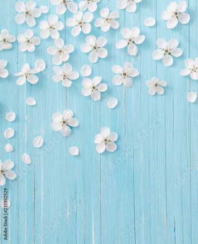 spring flowers on blue wooden background