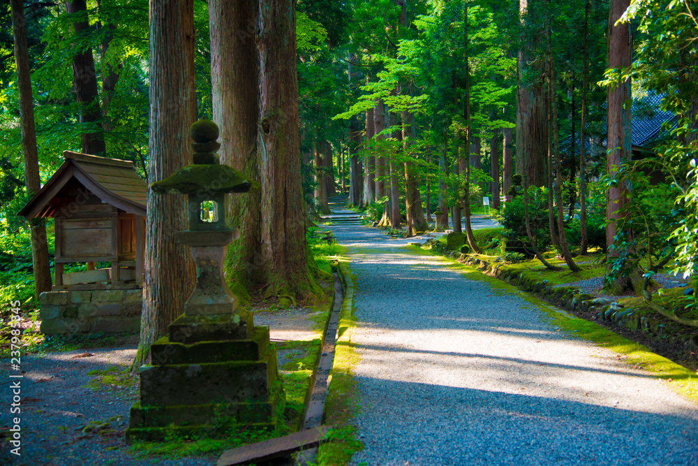 Obraz premium Oyama Shrine in Tateyama-machi, Japan. Japan is a country located in the East Asia.