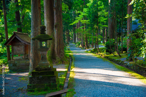 Oyama Shrine in Tateyama-machi, Japan. Japan is a country located in the East Asia. photo