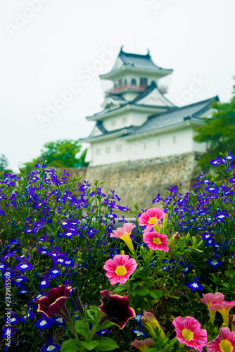 Toyama castle in Toyama  Japan. Japan is a country located in the East Asia.
