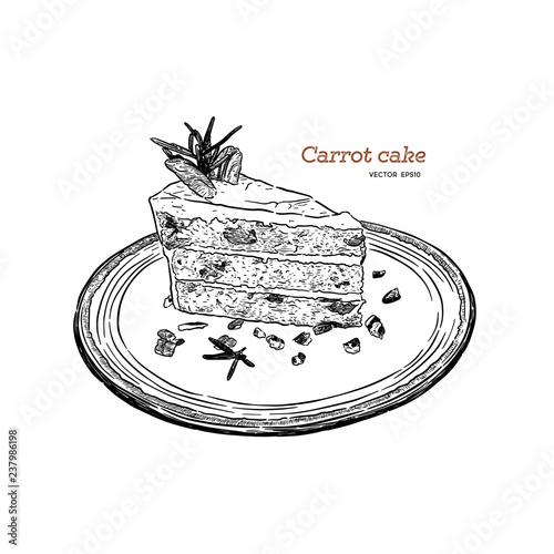 carrot cake ,hand draw sketch vector.