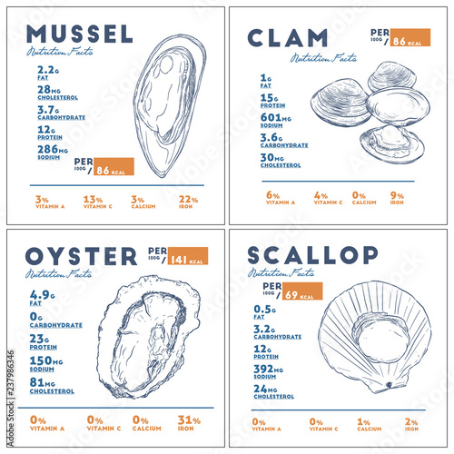 Nutrition facts of mussel, clam, oyster and scallop hand draw sketch vector.