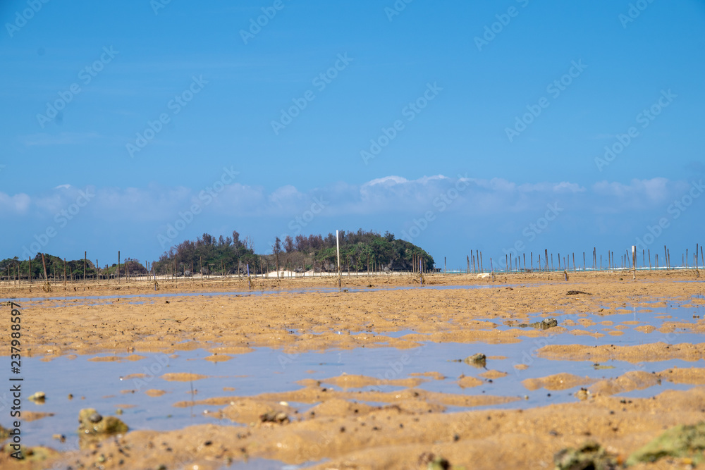 海 海