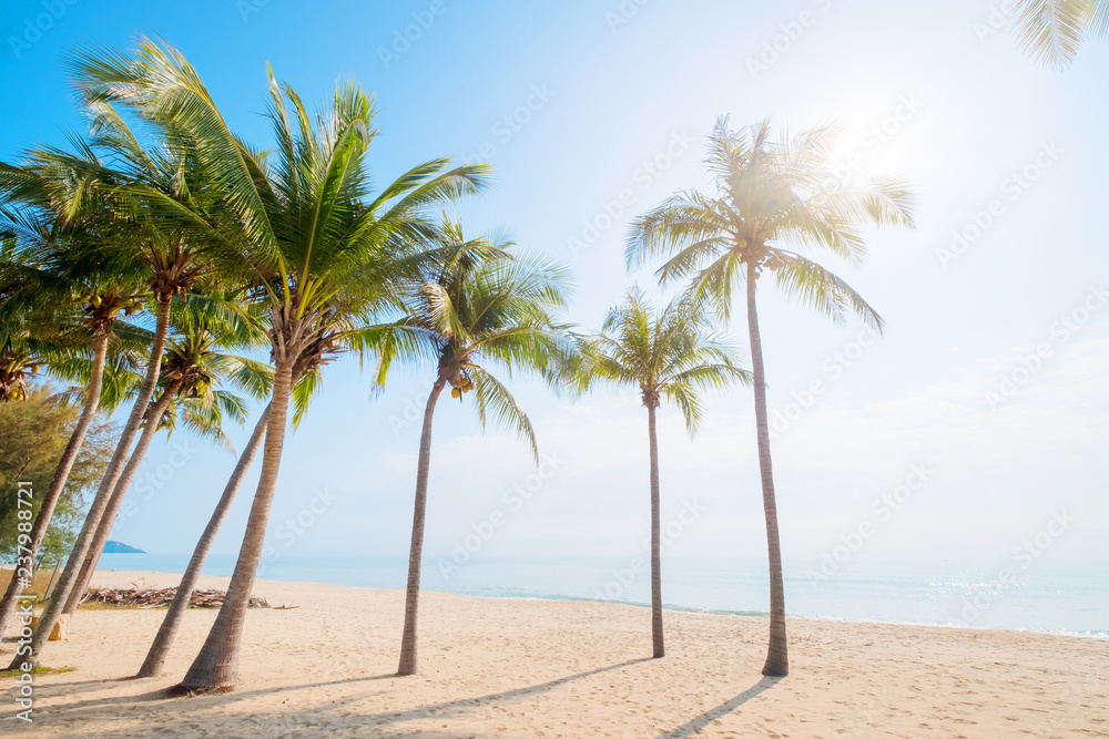 Beautiful landscape of coconut palm tree on tropical beach (seascape) in summer. Summer background concept.