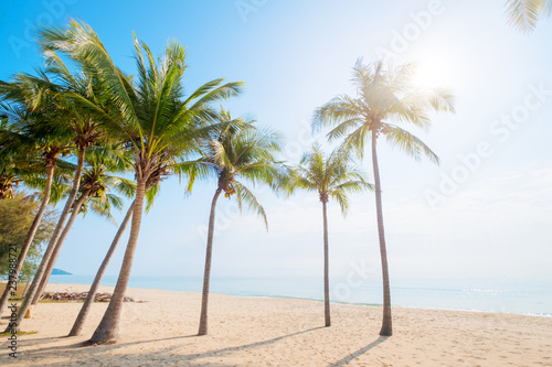 Fototapeta Naklejka Na Ścianę i Meble -  Beautiful landscape of coconut palm tree on tropical beach (seascape) in summer. Summer background concept.
