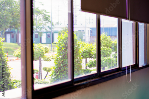 Blind window interior design with green garden, Green view beside window in office, Flare light through the window in the morning
